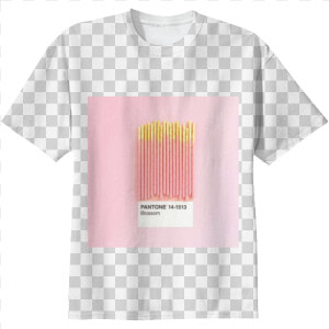 Pantone 14 1513 Pocky Tshirt  38   Girls Can Relate Quotes  HD Png Download