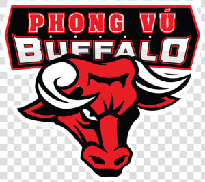 Phong Vũ Buffalologo Square   Phong Vu Buffalo  HD Png Download