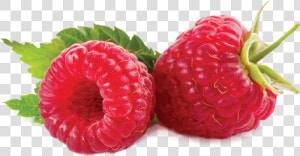 Beneficios De La Mora   Png Download   Fumari Raspberry Swirl  Transparent Png