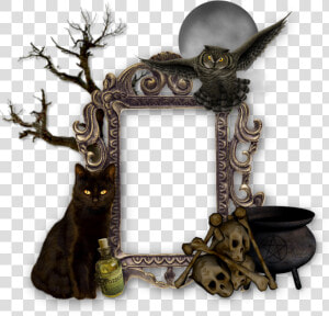 Halloween Frame Png   Arbre Png Halloween  Transparent Png