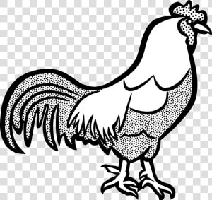 Clip Art Of Cock Black And White  HD Png Download