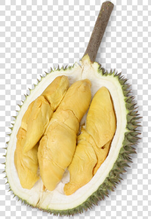 The Durian Story   Durian  HD Png Download