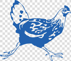 Chicken Running Blue   Chicken Running Drawing  HD Png Download