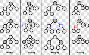 To Construct This Tree Hierarchy  Cobweb Sorts Each   Cobweb Algorithm  HD Png Download