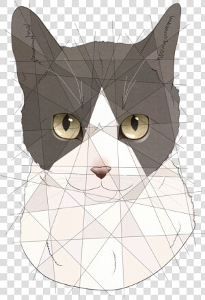  resting Meme Face’s Cat Deuces These Pieces Are On   Domestic Short haired Cat  HD Png Download