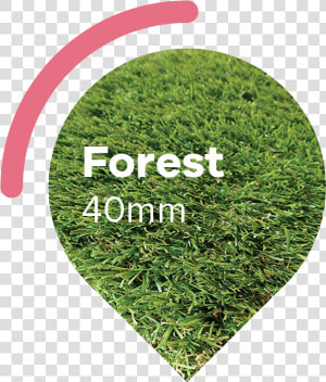 Woodland buble   Artificial Turf  HD Png Download