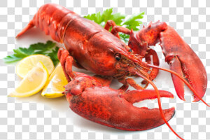 Download Lobster Transparent Png   Lobster Transparent  Png Download