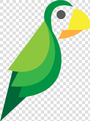 Transparent Parrot Png   Green Parrot Logo  Png Download