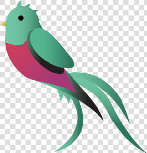 Quetzal Png  Transparent Png