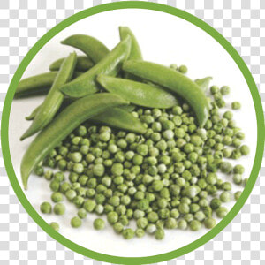 Our Peas Are One Of The Many Dried Vegetables We Offer   Snap Pea  HD Png Download