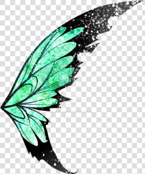 Green Fairy Wings Png   Fairy Wings Transparent Png  Png Download