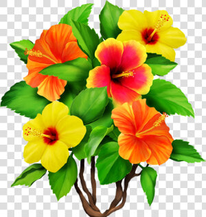 Hawaiian Aloha Tropical   Tropical Flowers Png  Transparent Png