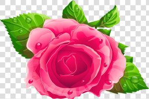 Single Rose Flowers Png   Rosa Cor De Rosa Png  Transparent Png