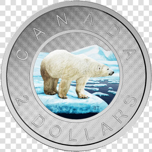 Canada Silver Coin Toonie   Canada Polar Bear Coin  HD Png Download