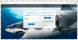 B2b Login Page   Facebook Cover Photo Shark  HD Png Download