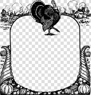 Thanksgiving Turkey Frame Clip Arts   Thanksgiving Black And White Border Clipart  HD Png Download