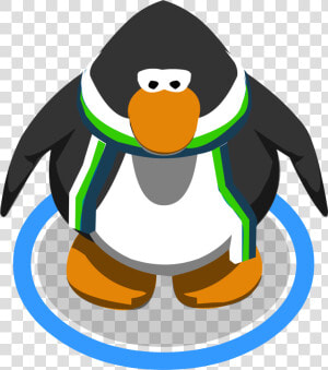 Green And Blue Scarf Ig   Club Penguin Penguin Sprite  HD Png Download