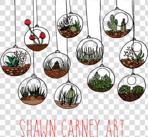 Shawn Carney Art   Terrarium Drawing Png  Transparent Png