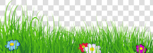 Ground Clipart Clear Background Grass   Transparent Background Grass Clipart  HD Png Download