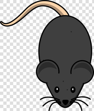 Thumb Image   Mouse Clip Art  HD Png Download