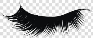 Eyelash Extension Singapore   Transparent Background Eyelashes Png  Png Download