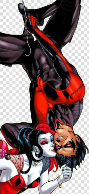  harleywing  harleyquinn  nightwing  dickgrayson  graysonandquinn   Harley Quinn E Nightwing  HD Png Download