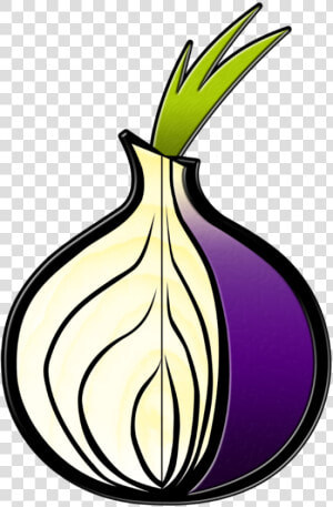 Tor Onions Anonymous Tue Nov   Tor Browser Onion Logo  HD Png Download