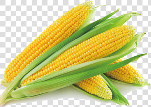 Sweet Corn Corn On The Cob Corn Soup Maize Vegetable   Corn Png  Transparent Png