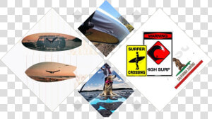 Surfer Png  Transparent Png