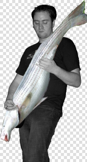 File   Bass player   Bass Player Png  Transparent Png