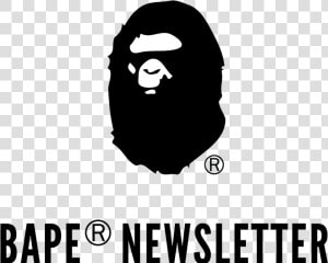 Newsletter Us Com   Bathing Ape  HD Png Download