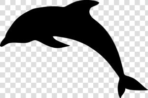 Dolphin  Jump  Silhouette  Black  Animal  Mammal   Dolphin Silhouette Clip Art  HD Png Download