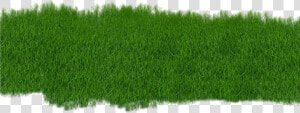 The Basic Principles Of Lawncare   Garden Png  Transparent Png