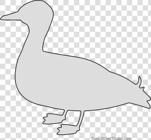 Free Duck Silhouette Bird Pattern Template To Print   Duck  HD Png Download