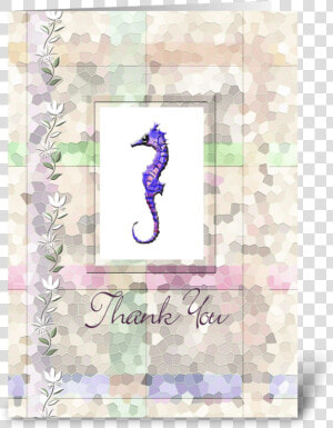 Sea Horse  Thank You Card Greeting Card   Northern Seahorse  HD Png Download