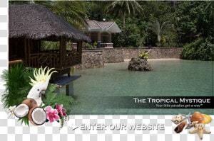 Welcome To The Tropical Mystique Resort   Vacation  HD Png Download