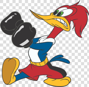 Transparent Woodpecker Png   Cartoon Pictures Of Woody Woodpecker  Png Download