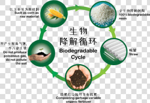 Biodegradable Cycle  HD Png Download