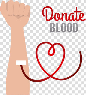 Blood Donation Transparent Background   Transparent Blood Donation Logo Png  Png Download