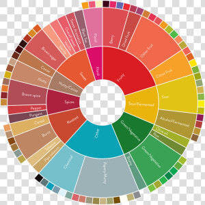 Flavor Wheel   Coffee Flavor Wheel  HD Png Download