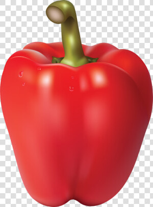 Bell Pepper Chili Pepper   Red Pepper Transparent Background  HD Png Download