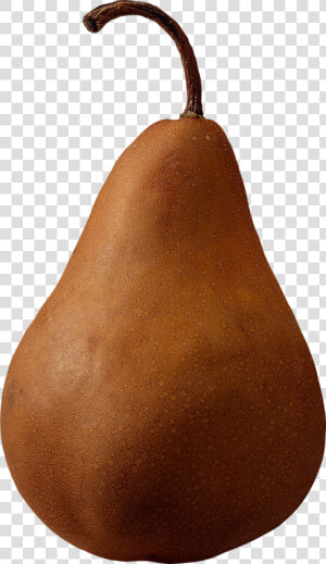 Brown Pear Png Image   Brown Pear Png  Transparent Png