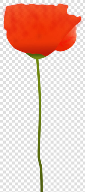 Clipart   Remembrance Single Clipart Poppy  HD Png Download