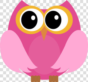 Little Owl Bird Clip Art   Cute Owl Vector  HD Png Download