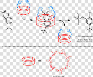 Brewslow Cyclodextrin Ribonuclease Mimic   Supramolecular Chemistry Enzyme Mimic  HD Png Download