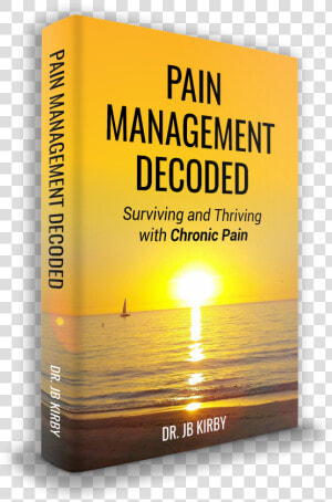 Pain Management Decoded By Dr Jb Kirby   Wealth Distribution In America 2011  HD Png Download