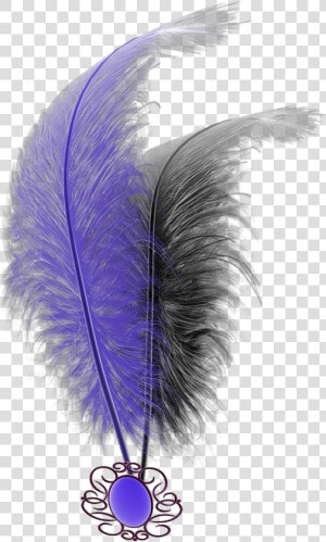  mq  purple  black  feathers  feather   Feather  HD Png Download