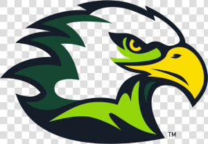 Life University Eagles Logo   Life University Athletics  HD Png Download