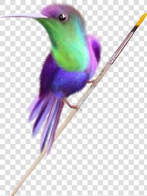 Humming Bird Png  Transparent Png