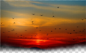  sun  sunset  bird  birds  clouds  cloud  nature  background   Sunset With Birds In Background  HD Png Download